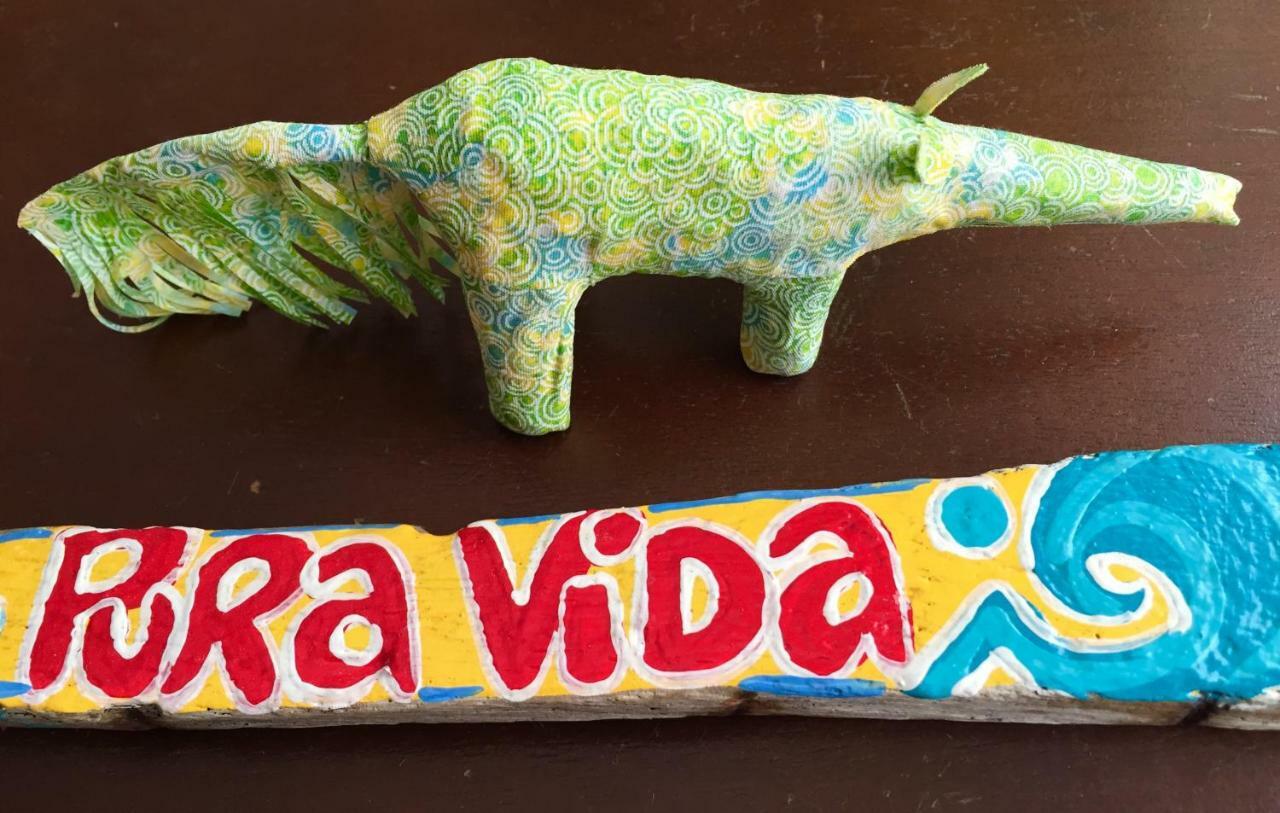 Chale Pura Vida Villa Sao Roque de Minas Luaran gambar